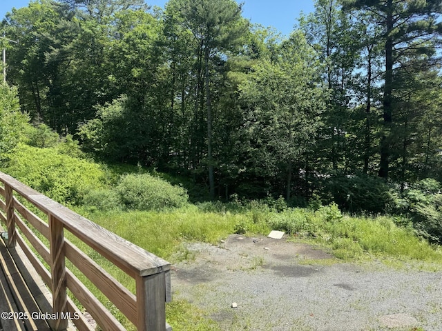 3190 State Highway 10, Johnstown, NY 12095 - view of yard