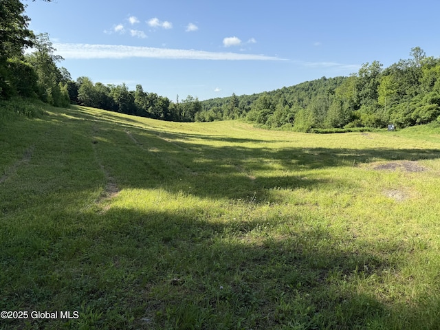148 Honey Hill Ln, Granville, NY 12832 - photo 9