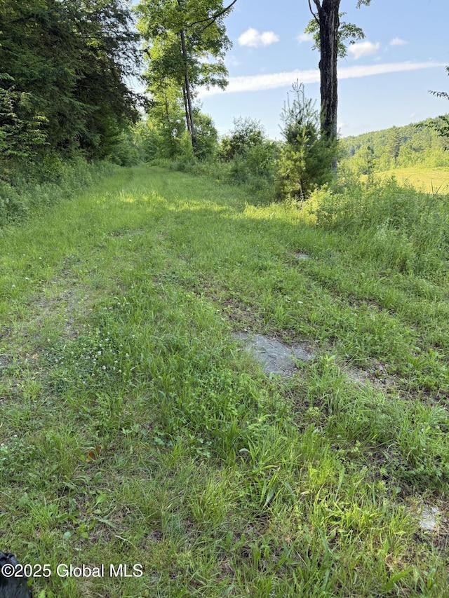 148 Honey Hill Ln, Granville, NY 12832 - photo 13