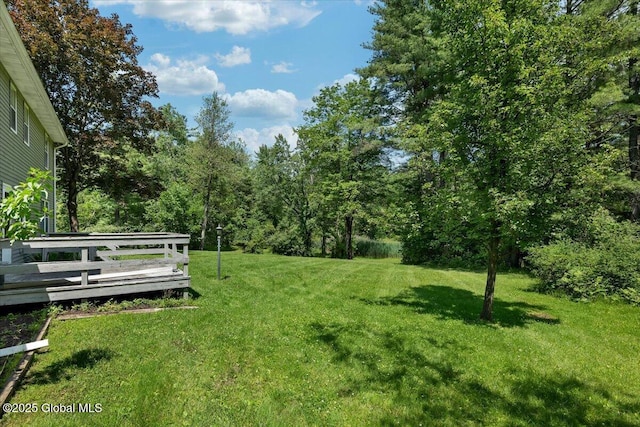 1754 Harlemville Rd, Ghent, NY 12075 - photo 39