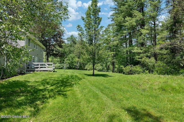 1754 Harlemville Rd, Ghent, NY 12075 - photo 40