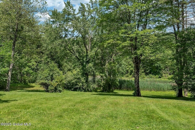 1754 Harlemville Rd, Ghent, NY 12075 - photo 41