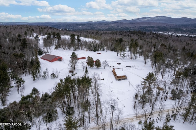 627 Lily Lake Rd, Bleecker, NY 12078