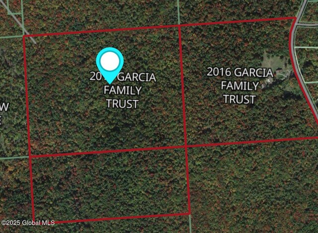 627 Lily Lake Rd, Bleecker, NY 12078