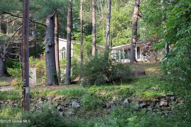 1072 Honey Hollow Rd, New Baltimore, NY 12058 - view of yard