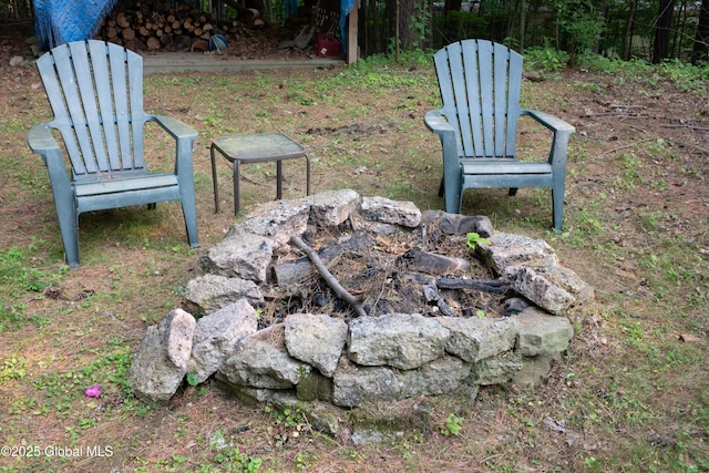 1072 Honey Hollow Rd, New Baltimore, NY 12058 - view of yard