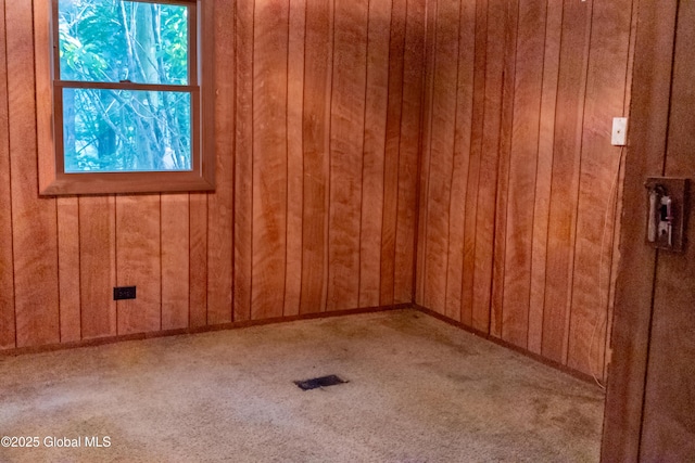 1072 Honey Hollow Rd, New Baltimore, NY 12058 - carpeted empty room featuring wood walls