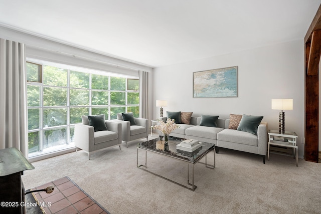 257 Lake Rd, Cobleskill, NY 12043 - living room with carpet and plenty of natural light