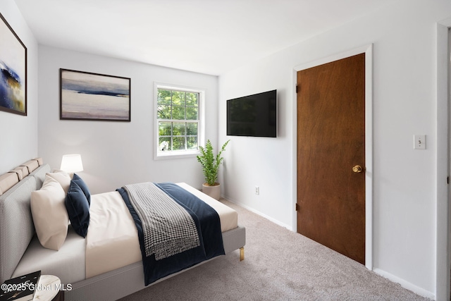 257 Lake Rd, Cobleskill, NY 12043 - bedroom with carpet and baseboards