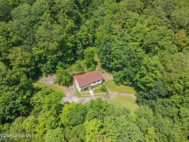 257 Lake Rd, Cobleskill, NY 12043 - aerial view of property and surrounding area featuring a heavily wooded area