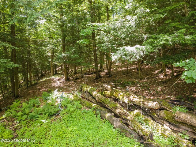 257 Lake Rd, Cobleskill, NY 12043 - view of tree filled area