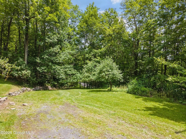 257 Lake Rd, Cobleskill, NY 12043 - view of green lawn featuring a forest view