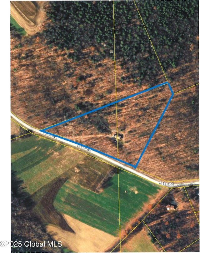 257 Lake Rd, Cobleskill, NY 12043 - aerial view of property's location with property parcel outlined