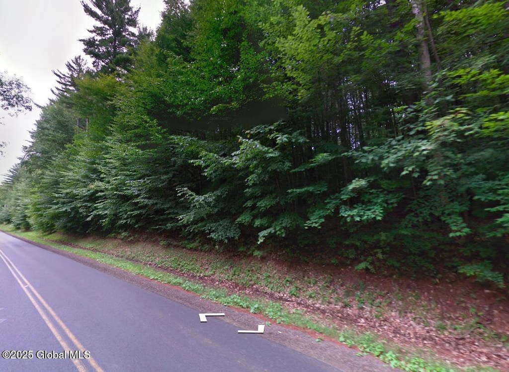 24 Bumphill Rd, Greenfield, NY 12833 - photo 2