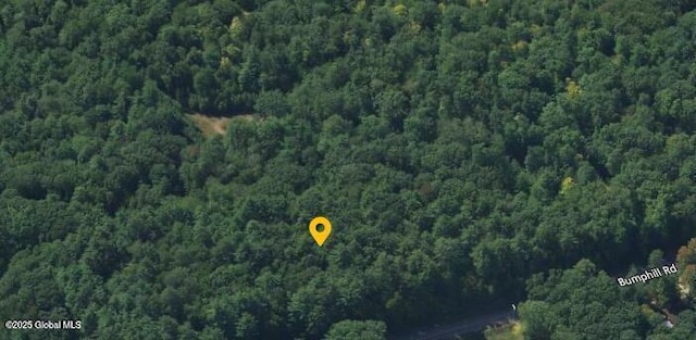 24 Bumphill Rd, Greenfield, NY 12833 - photo 3