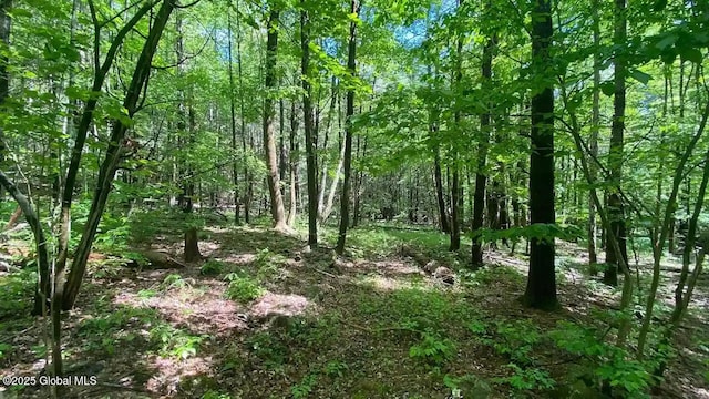 522 Quarry Rd, Blenheim, NY 12131 - photo 2