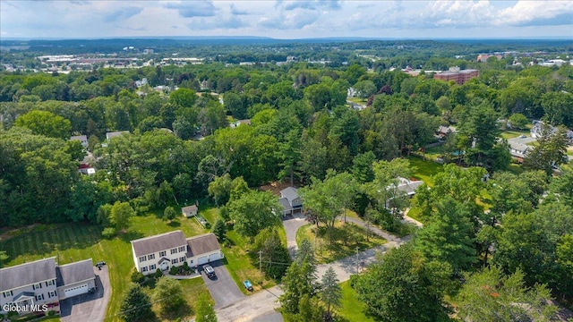 7 Colonie Ave, Colonie, NY 12110 - photo 43