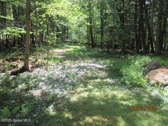 28 Pine Pl, Hadley, NY 12835 - photo 10