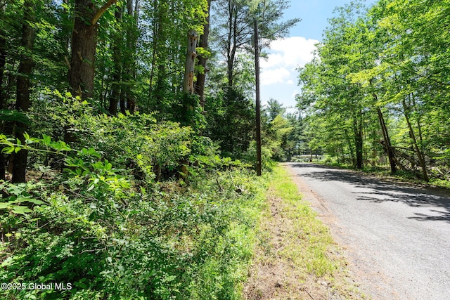 L4 Circle Dr, Cairo, NY 12413