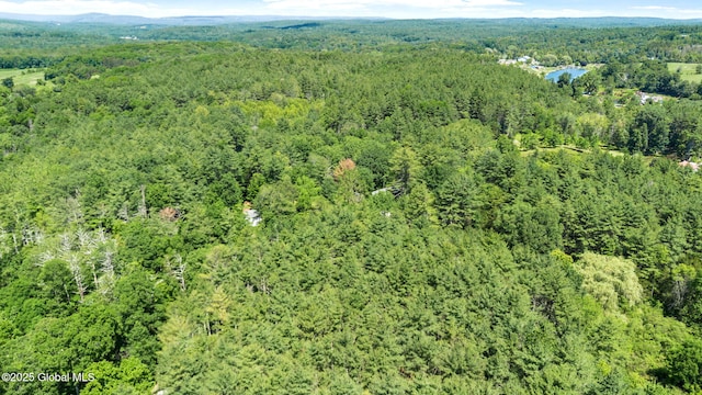 L4 Circle Dr, Cairo, NY 12413