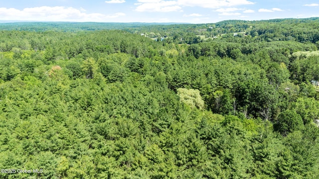 L4 Circle Dr, Cairo, NY 12413