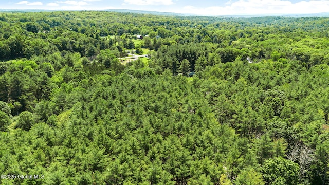 L4 Circle Dr, Cairo, NY 12413