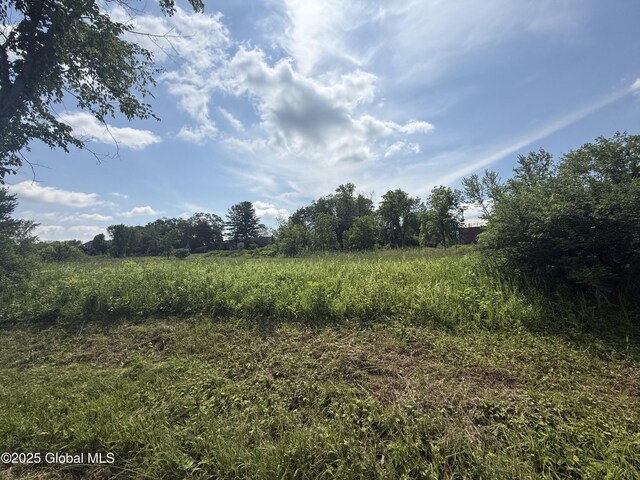 L1 Depot Rd, Duanesburg, NY 12056 - view of local wilderness featuring rural landscape