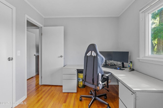 1 Tamarack Ln, East Greenbush, NY 12061 - office area with light wood-style flooring and crown molding
