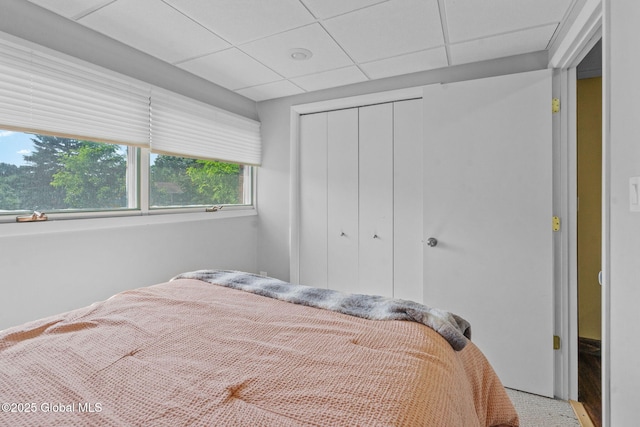 1 Tamarack Ln, East Greenbush, NY 12061 - bedroom with a paneled ceiling, a closet, and wood finished floors