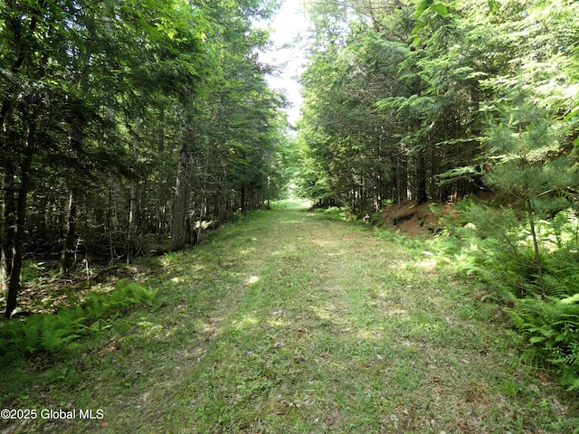 1157 County Route 29, Minerva, NY 12857 - photo 9
