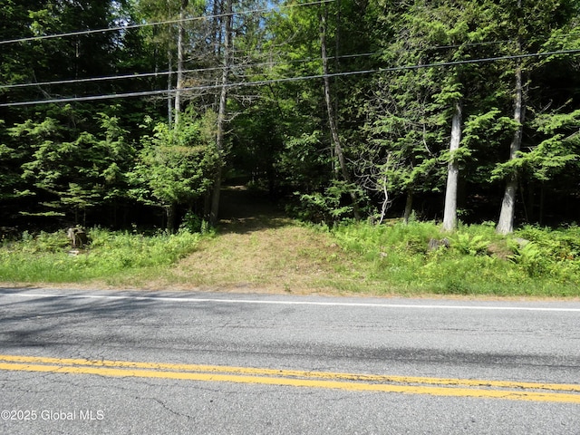 1157 County Route 29, Minerva, NY 12857 - photo 11
