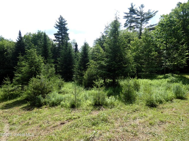 1157 County Route 29, Minerva, NY 12857 - photo 13