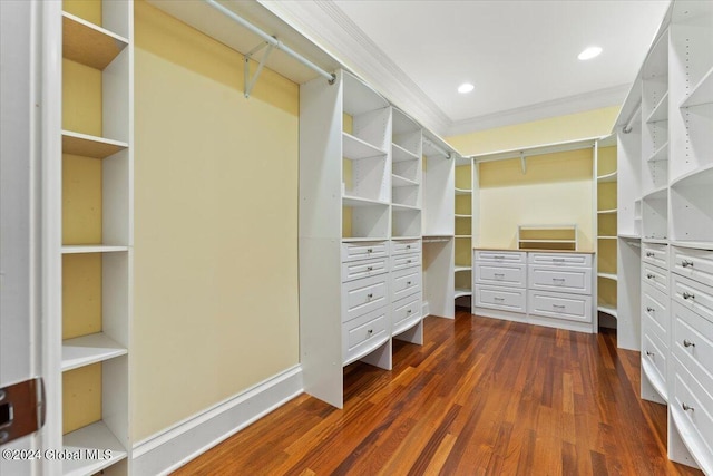 176 5th Ave, Saratoga Springs, Inside, NY 12866 - spacious closet with dark wood finished floors