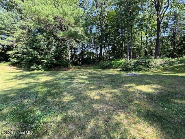 11 Winding Rdg, Clifton Park, NY 12065 - photo 6