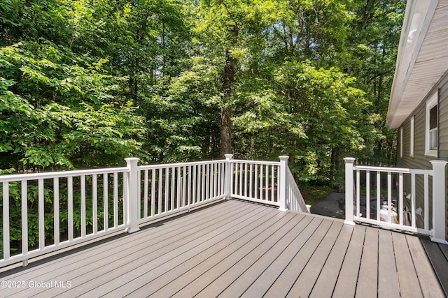 292 Stone Church Rd, Ballston Spa, NY 12020 - photo 17