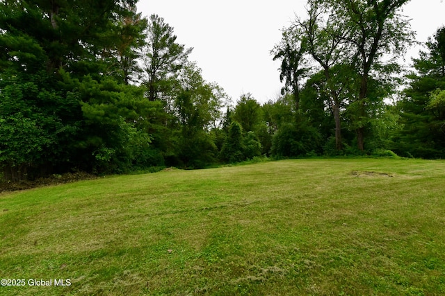 13 Appleton Rd, Clifton Park, NY 12148 - photo 11