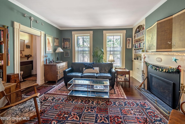 8 Front St, Schenectady, NY 12305 - living room with dark wood-type flooring, crown molding, a glass covered fireplace, and radiator