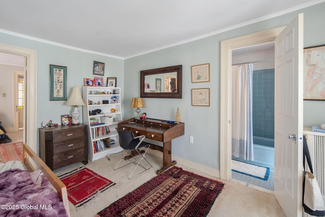 8 Front St, Schenectady, NY 12305 - bedroom with carpet and crown molding