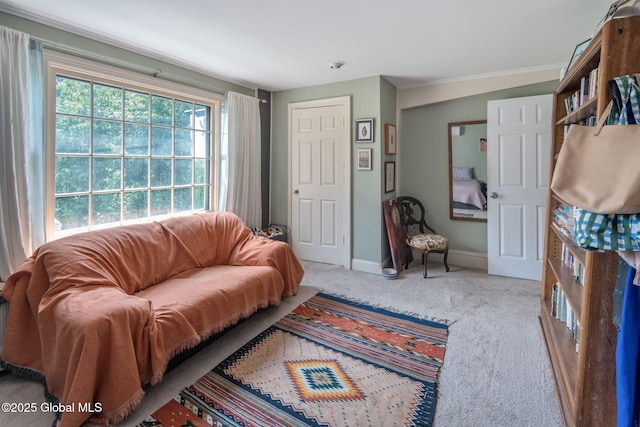 8 Front St, Schenectady, NY 12305 - living area with carpet floors and baseboards