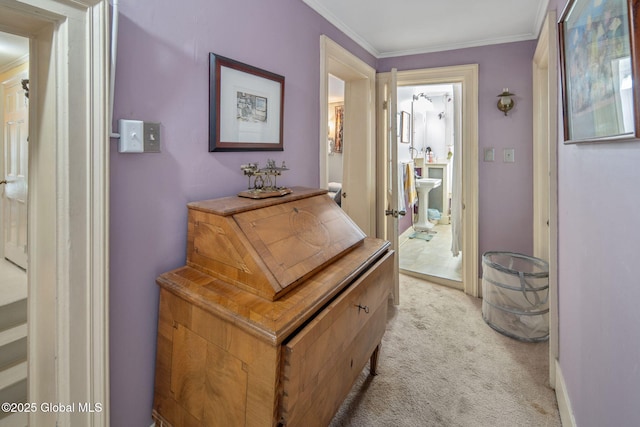 8 Front St, Schenectady, NY 12305 - hallway with crown molding and light colored carpet