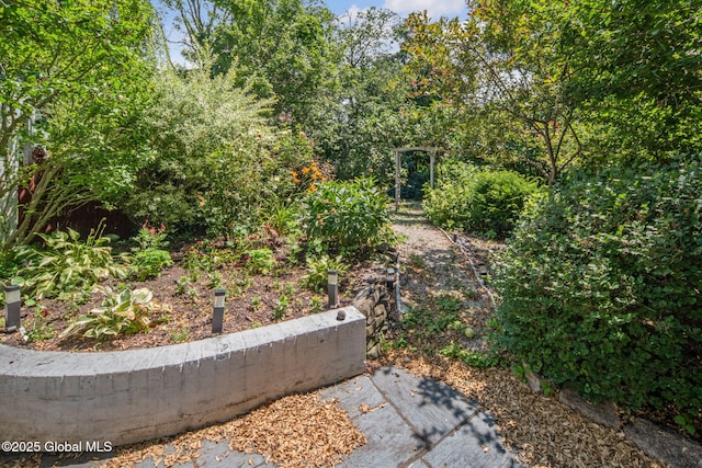 8 Front St, Schenectady, NY 12305 - view of yard