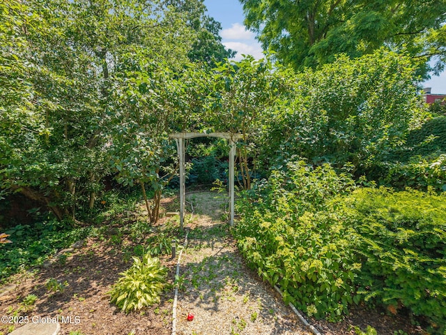 8 Front St, Schenectady, NY 12305 - view of yard