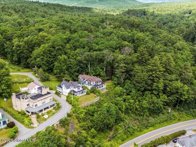 24 Holman Hill Rd, Hague, NY 12836 - photo 50