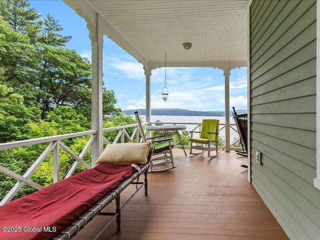 24 Holman Hill Rd, Hague, NY 12836 - photo 26
