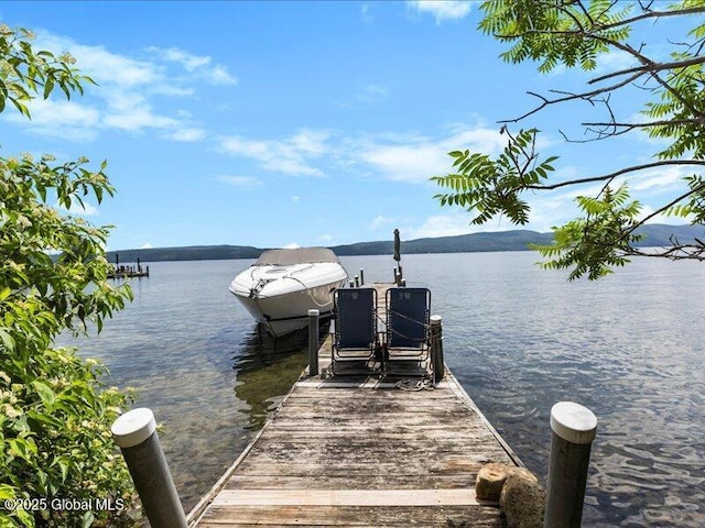 24 Holman Hill Rd, Hague, NY 12836 - photo 3