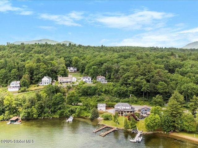 24 Holman Hill Rd, Hague, NY 12836 - photo 5
