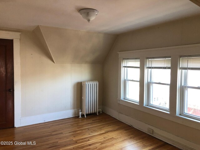 302-304 Quail St, Albany, NY 12208 - bonus room featuring radiator heating unit, wood finished floors, and lofted ceiling