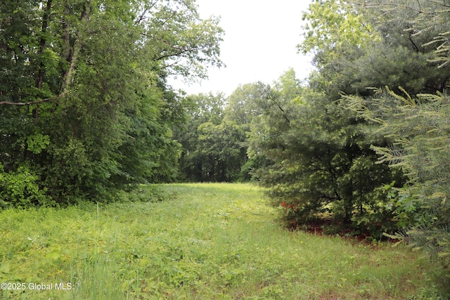 398 Vischer Ferry Rd, Clifton Park, NY 12065 - photo 2
