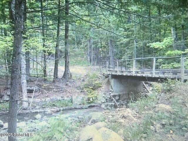 L1.2 Trout Brook Rd, Hague, NY 12836 - photo 1