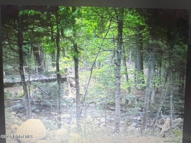 L1.2 Trout Brook Rd, Hague, NY 12836 - photo 3